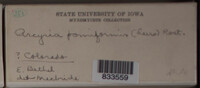 Image Associated With the Occurence